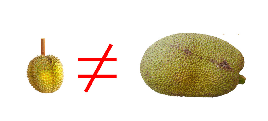 Durian vs Nangka: Mana yang Lebih Sehat dan Kaya Nutrisi bagi Tubuh?