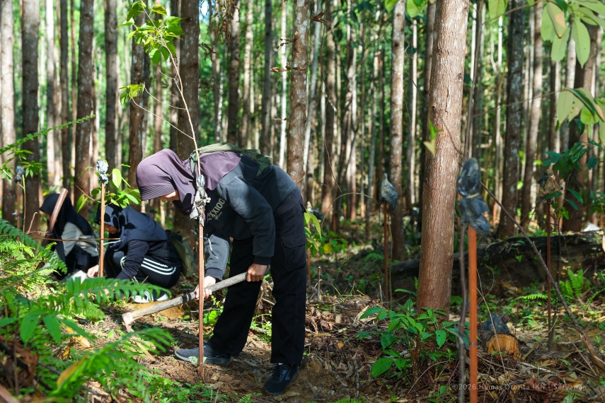Libur Paskah di IKN, 59 Ribu Orang Berkunjung, Ikut Tanam Pohon di Hutan Tropis