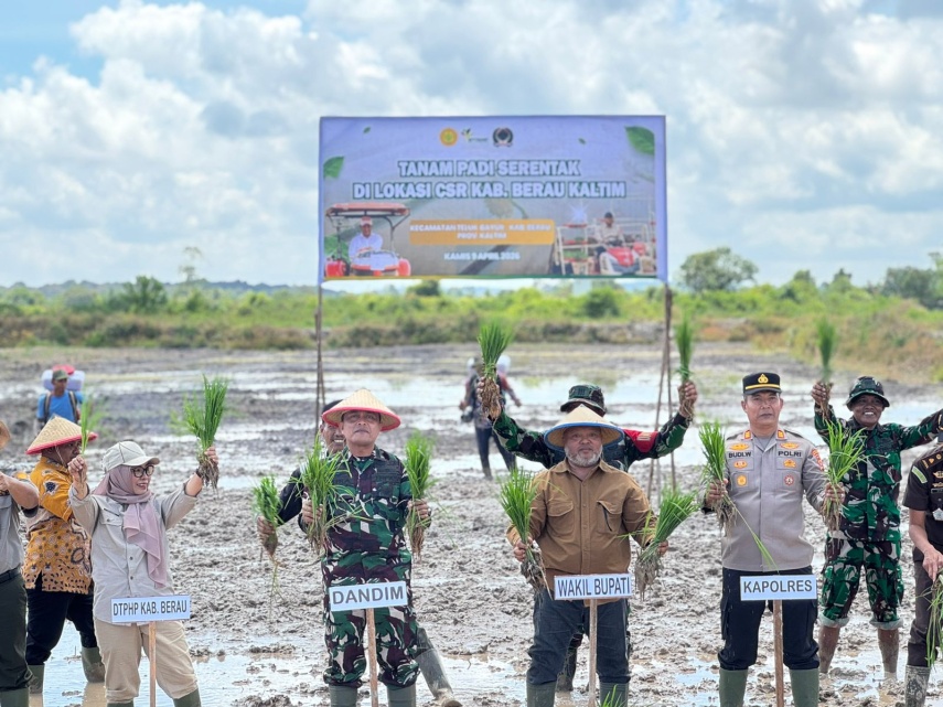 425 Hektare Lahan Padi Sawah Baru Telah Tercetak di Berau, Wabup Gamalis Ajak Anak Muda Jadi Petani