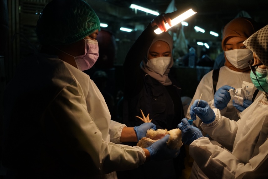 Perkuat Deteksi Zoonosis, Indonesia Jadi Model Kolaborasi Multisektoral One Health Versi WHO