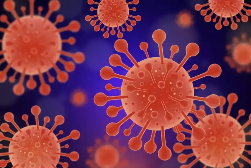 WHO: Risiko Wabah Hantavirus Global Masih Rendah, Waspadai Gejalanya
