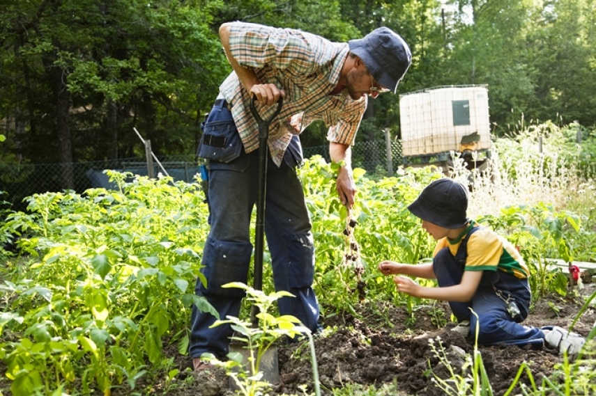 Melawan Hustle Culture: Slow Living dengan Berkebun di Desa Jadi Solusi Kesehatan Mental