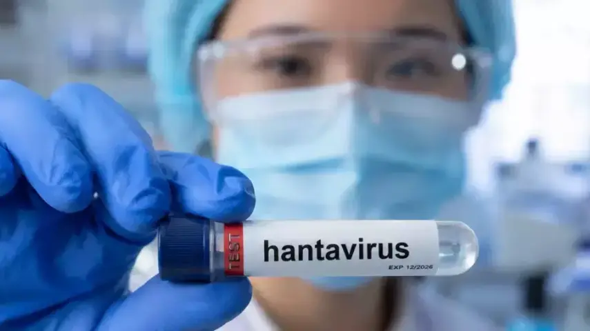 Waspada! Hantavirus Strain Andes Menular Lewat Dua Cara Ini