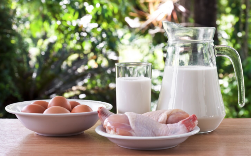 9 Akibat Kelebihan Protein bagi Tubuh dan Ciri-Ciri yang Perlu Diwaspadai