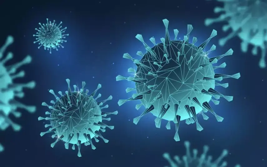 Virus Ebola Bundibugyo Mengganas, Begini Sejarah dan Cara Penularannya