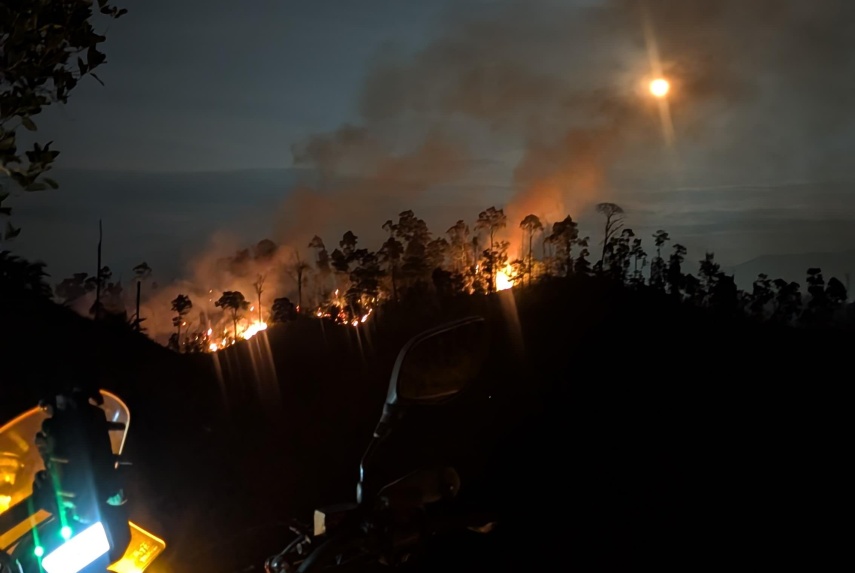 Potensi Kemarau dan El Nino, DPRD Berau Desak Pemerintah Lakukan Mitigasi Dini Karhutla