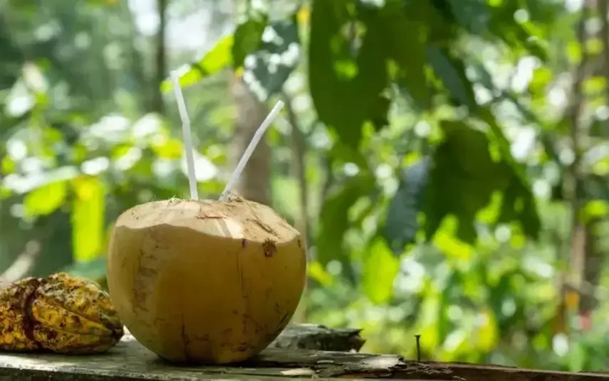 9 Minuman Sehat Bantu Tubuh Lebih Berenergi di Pagi Hari