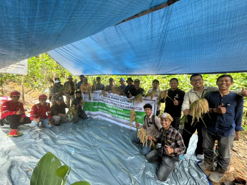 Lewat Program Multi Usaha Kehutanan, PT Silva Rimba Lestari Gelar Panen Perdana Padi Darat di Kutai Kartanegara