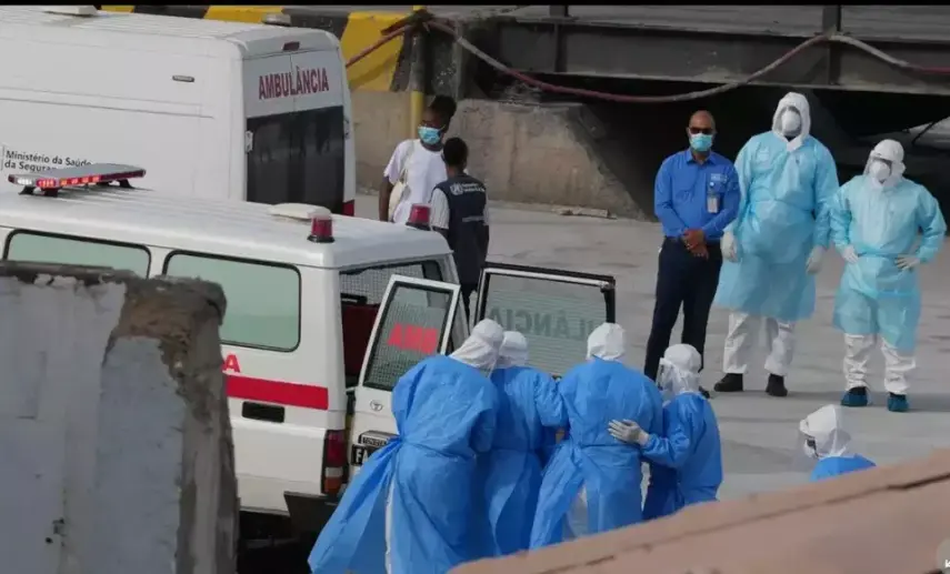 Waspada Wabah Global: 7 Fakta Penting Hantavirus yang Perlu Anda Ketahui