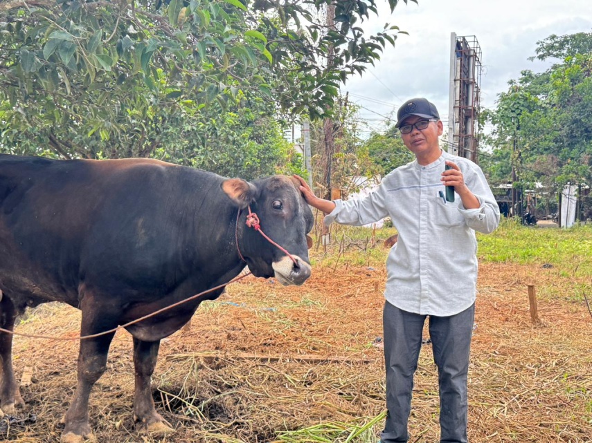 Konsisten Selama 7 Tahun, Lapak Hewan Kurban di Simpang Empat Tenggarong Tetap Ramai Diburu Warga