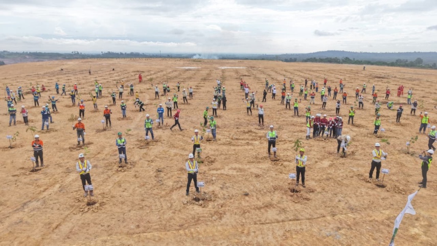 Peringati Hari Lingkungan Hidup 2026, PT Berau Coal Tanam Ribuan Bibit Pohon Serentak