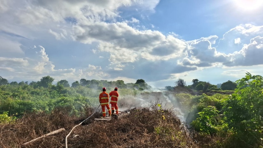 Masuk Musim Kemarau, BPBD Berau Catat 7 Hektare Lahan Hangus Terbakar hingga Awal Juni 2026