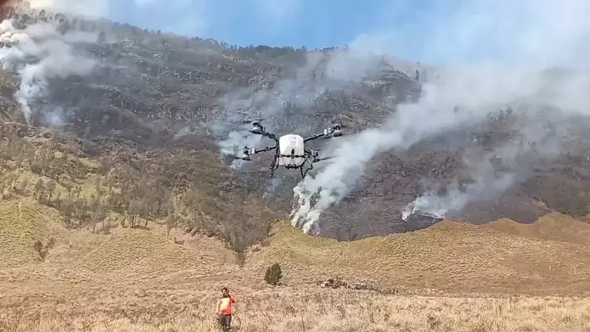 Badan Geologi Pastikan Karhutla di Bromo Bukan Disebabkan Aktivitas Vulkanik