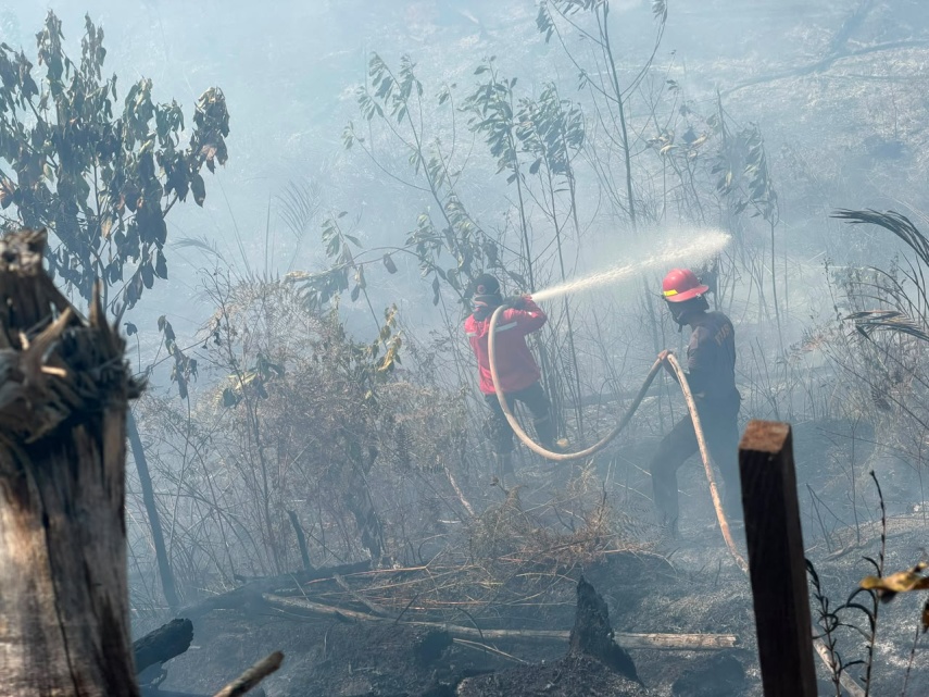Ekonom Ingatkan Bahaya Karhutla di Tengah El Nino: Picu Beban Kesehatan hingga Inflasi Pangan