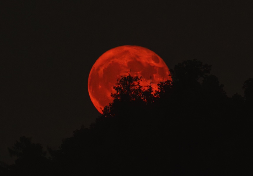 Fenomena Blood Moon Muncul 27 Agustus 2026, Isu Kiamat Kembali Ramai di Medsos
