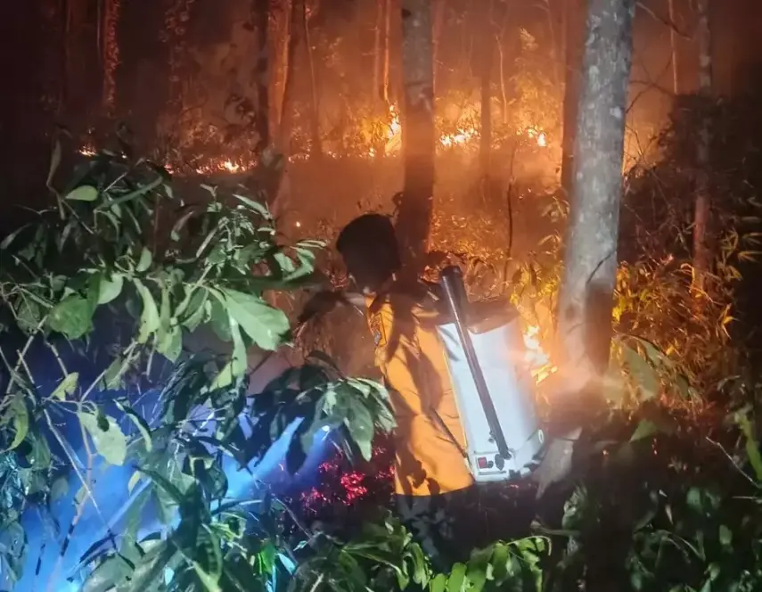 Kemenkes Kirim Ratusan Ribu Masker dan Oksigen Antisipasi ISPA Akibat Karhutla