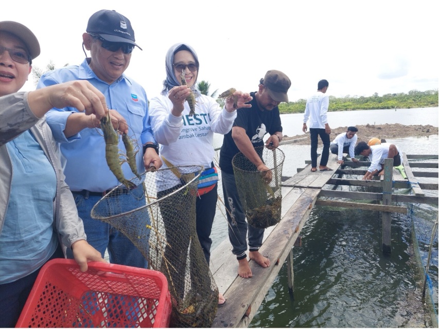 DPRD Berau Dorong Pengembangan Udang Windu Lewat Sistem Hatchery