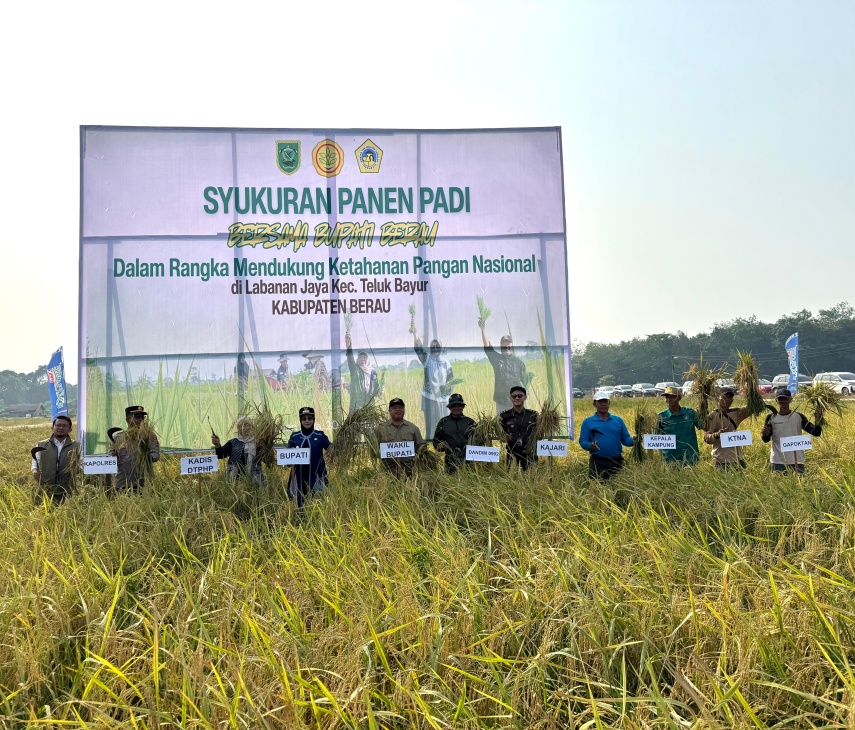 Panen Padi di Tengah Kemarau, Bupati Berau Dorong Petani Wujudkan Swasembada Pangan
