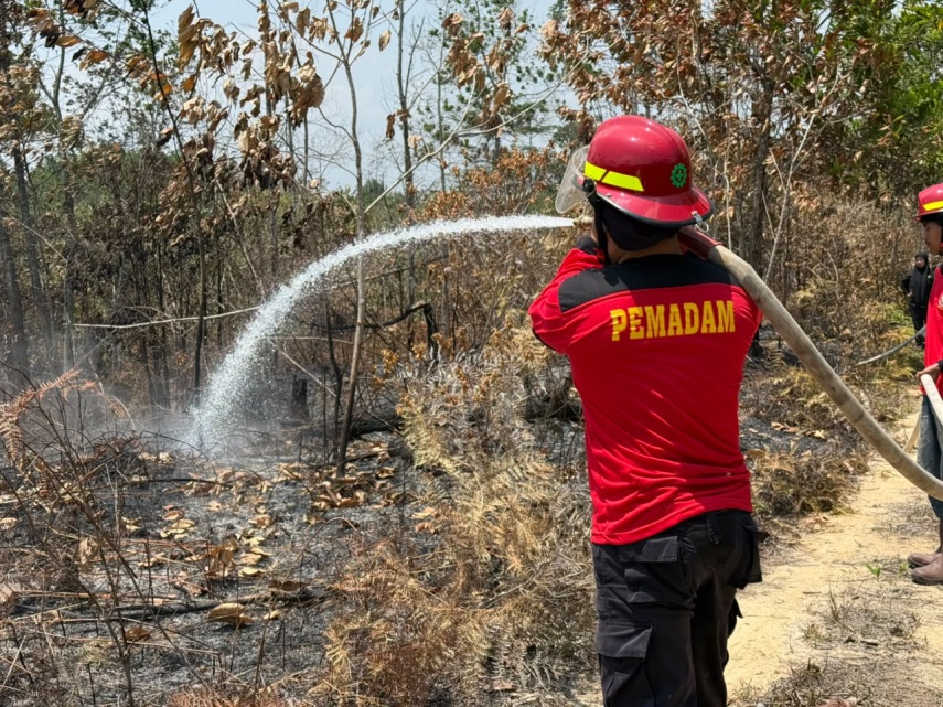 Berau Dikepung Titik Panas, Bupati Tekankan Koordinasi Lintas Sektor, Dunia Usaha Diminta Tidak Lepas Tangan!