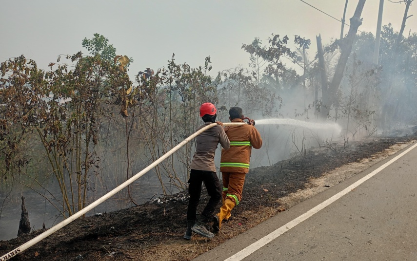 Karhutla Berau Naik Status Tanggap Darurat, Pemkab Siapkan Anggaran BTT