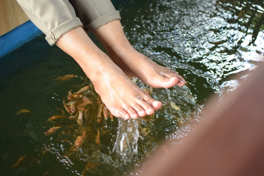 Kolam Terapi Ikan di Bekas Tambang Batu Bara: Nyaman untuk Kaki, Berbahaya jika Diminum