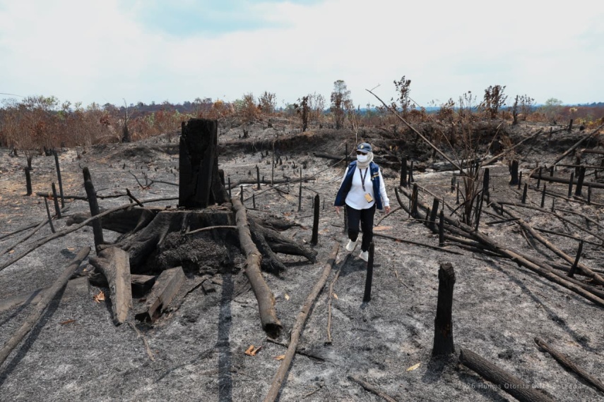 Otorita IKN Tegaskan Larangan Bakar Lahan di Kawasan Tahura Bukit Soeharto