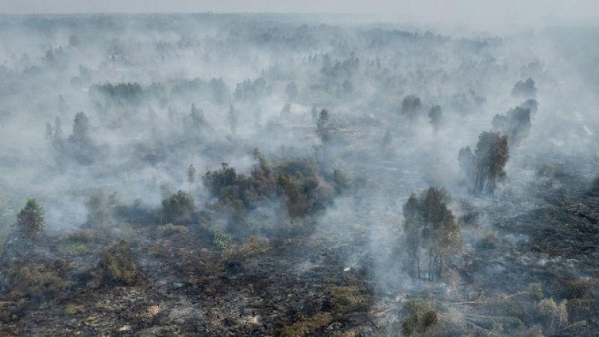 Asap, Krisis Air hingga Gangguan Kesehatan, Masyarakat Sipil Desak Karhutla Jadi Bencana Nasional