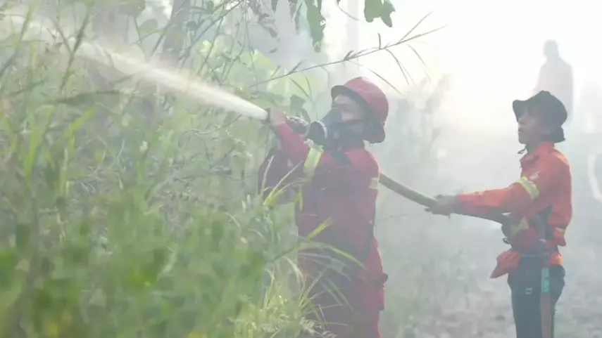 Karhutla Lalap 458 Hektare Lahan di Deliniasi IKN, Otorita Pastikan Pusat Pemerintahan Masih Aman Terkendali