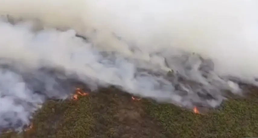 Karhutla Taman Nasional Tanjung Puting Kian Meluas hingga 54.000 Hektare, Relawan Desak Pemerintah Kirim Water Bombing